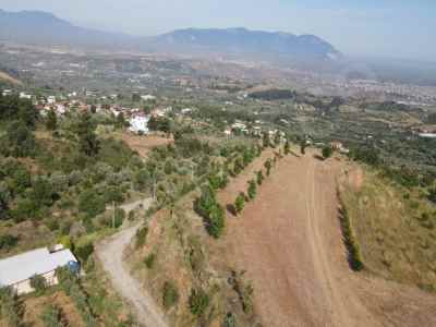  For Sale in  Turkey, Manisa, Turgutlu, Osmancik neighborhood 