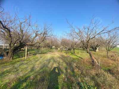  For Sale in  Turkey, Manisa, Turgutlu, Istasyonalti neighborhood 