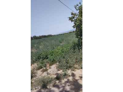 Terrain For Sale in  Turkey, Manisa, Turgutlu, Istasyonalti neighborhood 