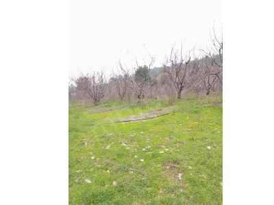  For Sale in  Turkey, Manisa, Turgutlu, Cepnibektas neighborhood , 7400 m2