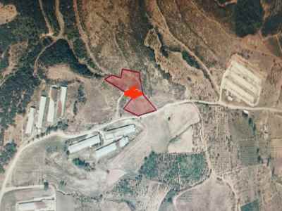 Land Kaufen In  Türkei, Manisa, Turgutlu, Ayvacik Str. , 6500 m2