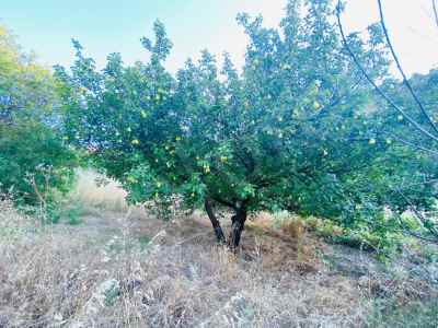  For Sale in  Turkey, Manisa, Turgutlu, Dalbahce neighborhood 