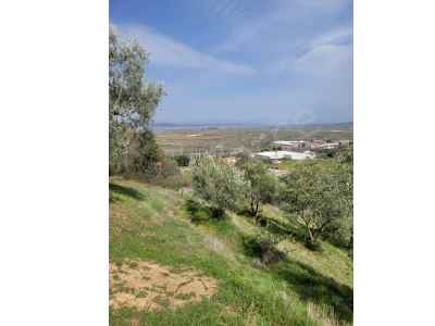  For Sale in  Turkey, Manisa, Turgutlu, Derbent neighborhood 
