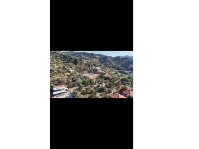 Turgutlu Satılık Bağ Dalbahçe Mah 943M2 Tek Tapu Kaçırılmayacak Fırsat