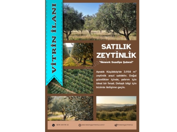 Küçükköy Mah. Ayvalık Satılık Arsa |  3950M2 8.000.000Tl Resim-5
