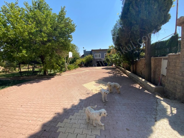 Şahinbey Mülk Mah. Şahinbey Satılık Bağ-Evi |  9869M2 17.000.000Tl İmarlı  Resim-2