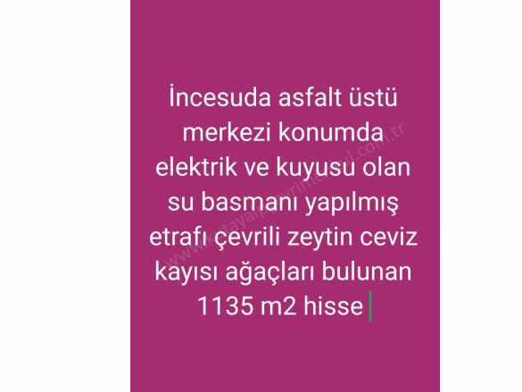 Asfalt Üstü Zeytin Ceviz Ve Kayısı Ağaçları Olan Satılık Arazi Şehitkamil incesu Mah