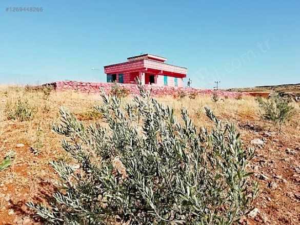 Yatırımlık 28 Dönüm Satılık Arsa Şanlıurfa Karaköprü Büyükalanlı Mah