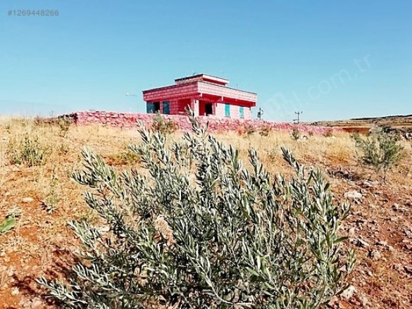 Büyükalanlı Mah. Karaköprü Satılık Arsa |  28000M2 20.000.000Tl Resim-1