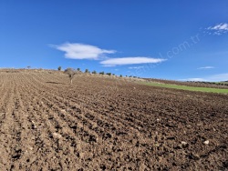 Şahinbey Dokur Mah. Satılık Tarla 1843 M2