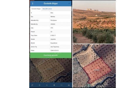 Araç Takasına Açık Zeytinlik Satılık Tarla Kilis Merkez Öncü Pınar Mah