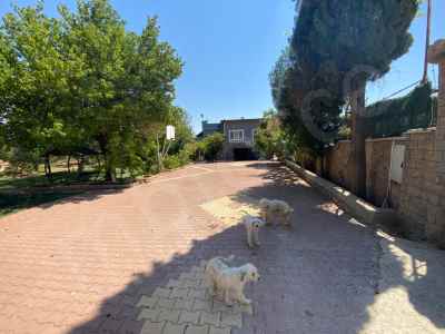  For Sale in  Turkey, Gaziantep, Sahinbey, Sahinbey Mulk neighborhood , 9869 m2