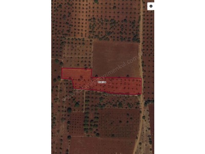 Yatırıma Uygun 7 Dönüm Satılık Tarla Gaziantep Şahinbey Kürüm Mah