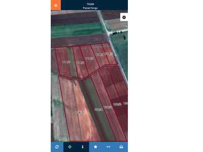 Acil Satılık Arazi Boş Resmi Yolu Mevcut Oğuzeli Şıh Küçükkaracaviran Mah