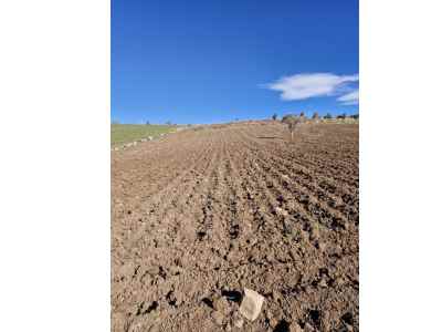 Field For Sale in  Turkey, Gaziantep, Sahinbey, Dokur neighborhood , 1843 m2