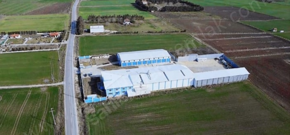 Fener Mah. Silivri Kiralık Fabrika |  1 Oda | 1250M2 Aylık 250.000Tl | Giriş Katı | Doğalgaz(Kombi) | 1 Banyo Resim-3