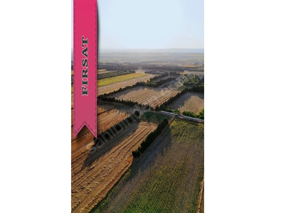 Gazitepe Mah. Silivri Satılık Tarla |  3621M2 11.000.000Tl Resim-5