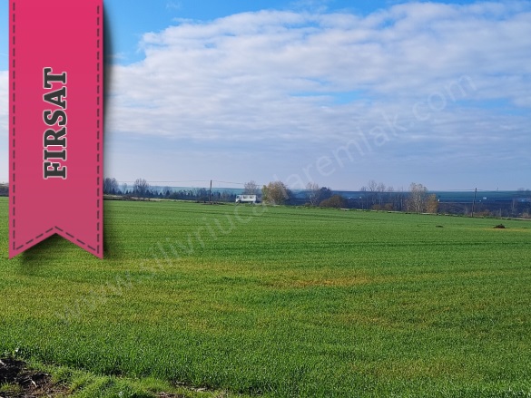 Pınarbaşı Mah. Ergene Satılık Parsel |  1600M2 850.000Tl Resim-2