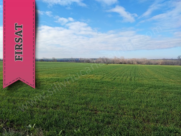 Pınarbaşı Mah. Ergene Satılık Parsel |  1600M2 850.000Tl Resim-3