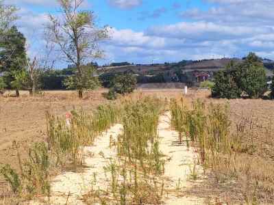 Parcel For Sale in  Turkey, Istanbul, Silivri, Fener neighborhood , 1303 m2