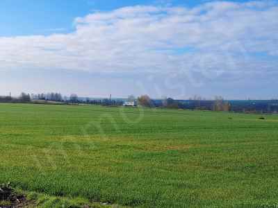 Parzelle Kaufen In  Türkei, Tekirdag, Ergene, Pinarbasi Str. , 1600 m2