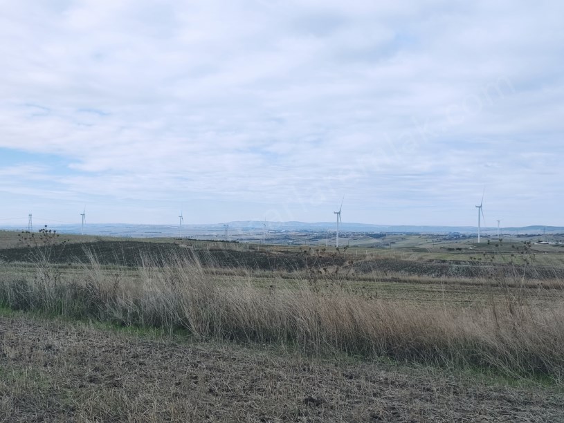 SİLİVRİ KURFALLI MAHALLESİNDE SATILIK TARLA ASFALTIN DİBİNDE 4.228M2