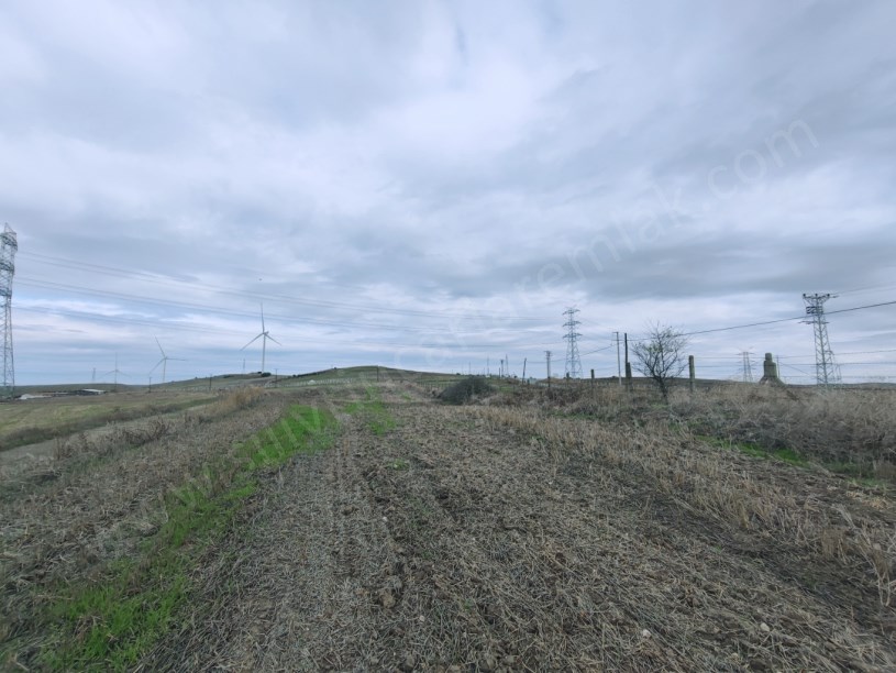 SİLİVRİ KURFALLI MAHALLESİNDE SATILIK TARLA ASFALTIN DİBİNDE 4.228M2