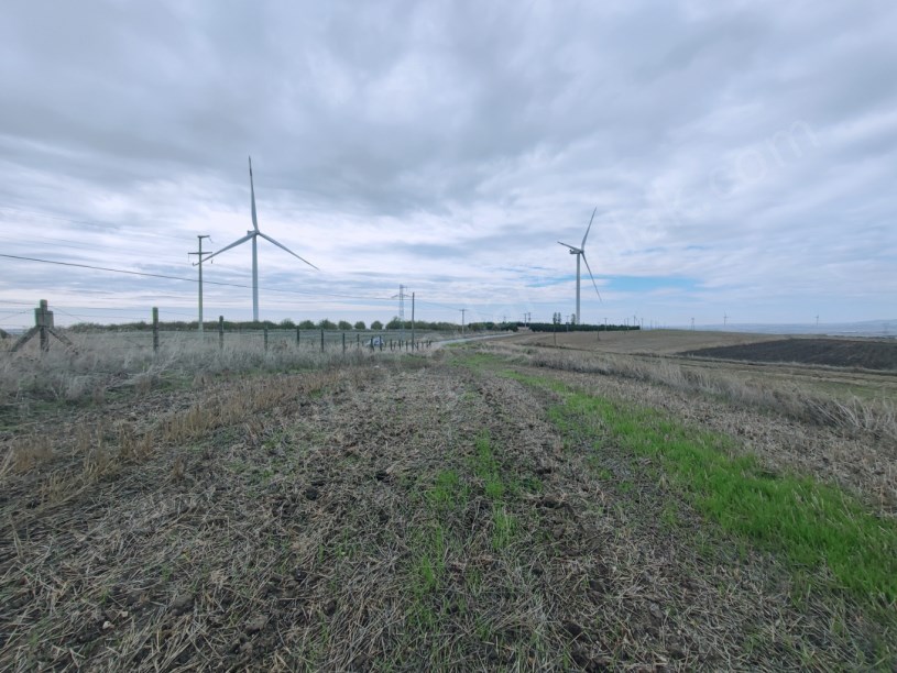 SİLİVRİ KURFALLI MAHALLESİNDE SATILIK TARLA ASFALTIN DİBİNDE 4.228M2