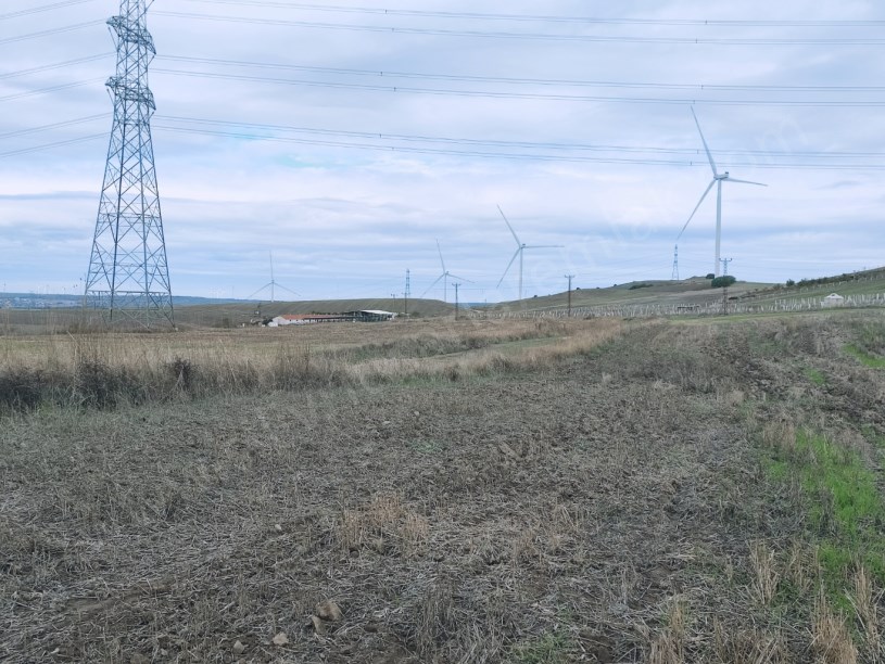 SİLİVRİ KURFALLI MAHALLESİNDE SATILIK TARLA ASFALTIN DİBİNDE 4.228M2