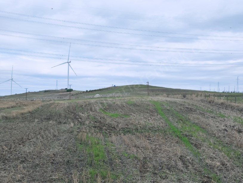 SİLİVRİ KURFALLI MAHALLESİNDE SATILIK TARLA ASFALTIN DİBİNDE 4.228M2
