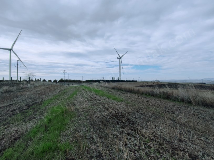 SİLİVRİ KURFALLI MAHALLESİNDE SATILIK TARLA ASFALTIN DİBİNDE 4.228M2