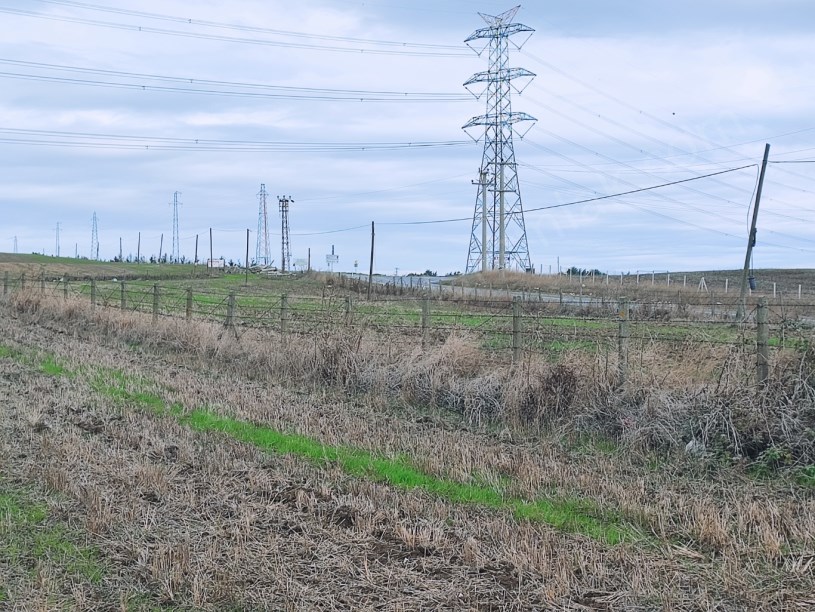 SİLİVRİ KURFALLI MAHALLESİNDE SATILIK TARLA ASFALTIN DİBİNDE 4.228M2