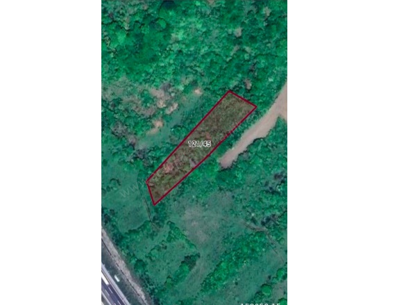 Elmalık Mah-Elmalık Köyü. Bolu Satılık Tarla |  2945M2 1.770.000Tl Resim-3