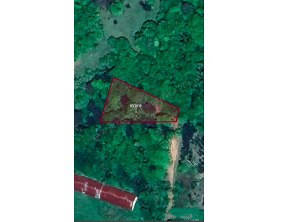 Elmalık Mah-Elmalık Köyü. Bolu Satılık Tarla |  958M2 480.000Tl Resim-2