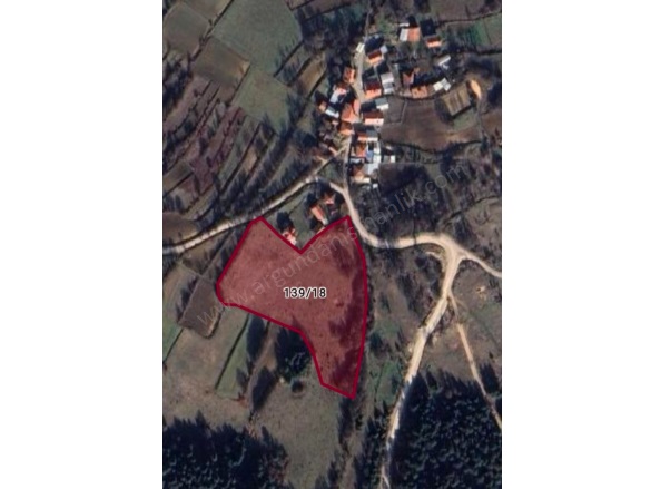 Pelitçik Yaylası Mah-Pelitcik . Bolu Satılık Tarla |  13191M2 26.380.000Tl Resim-1
