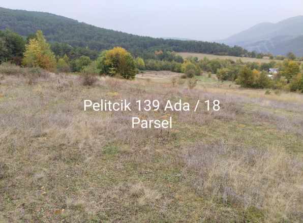 Bolu Merkez Satılık Tarla Arsa Pelitçik Yaylası Mah-Pelitcik