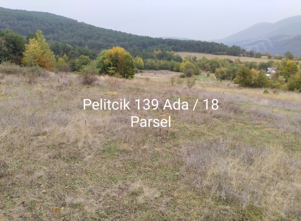 Pelitçik Yaylası Mah-Pelitcik . Bolu Satılık Tarla |  13191M2 26.380.000Tl Resim-2