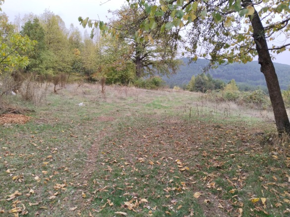 Pelitçik Yaylası Mah-Pelitcik . Bolu Satılık Tarla |  13191M2 26.380.000Tl Resim-4