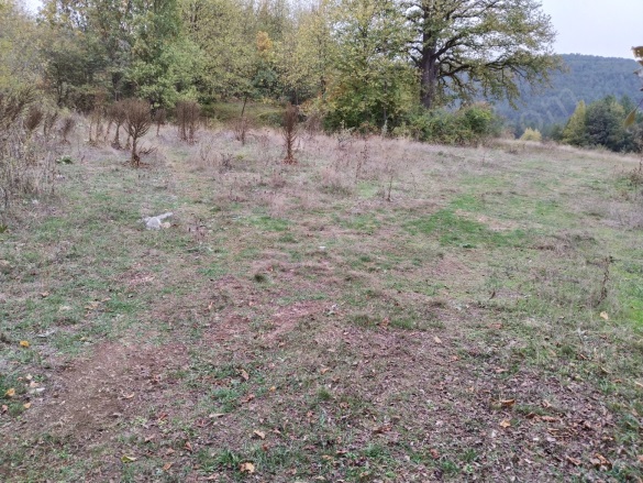 Pelitçik Yaylası Mah-Pelitcik . Bolu Satılık Tarla |  13191M2 26.380.000Tl Resim-5