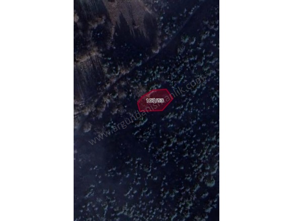 Belkaraağaç Köyü Bolu Satılık Tarla |  826M2 830.000Tl Resim-3