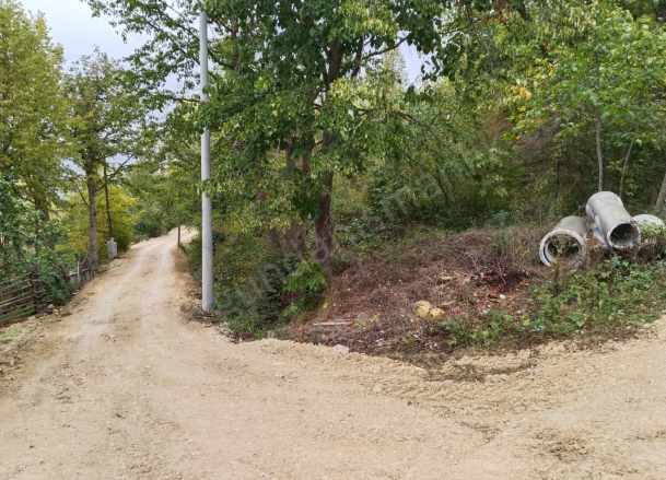 Bolu Merkez Satılık Tarla Arsa Belkaraağaç Köyü