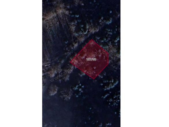 Belkaraağaç Köyü Bolu Satılık Tarla |  1059M2 1.060.000Tl Resim-3