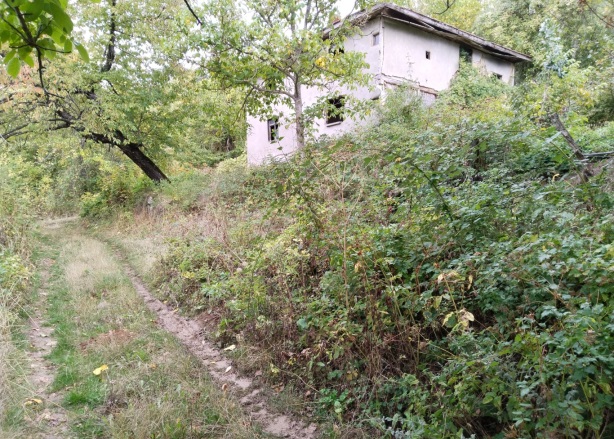Belkaraağaç Köyü Bolu Satılık Tarla |  930M2 930.000Tl Resim-1