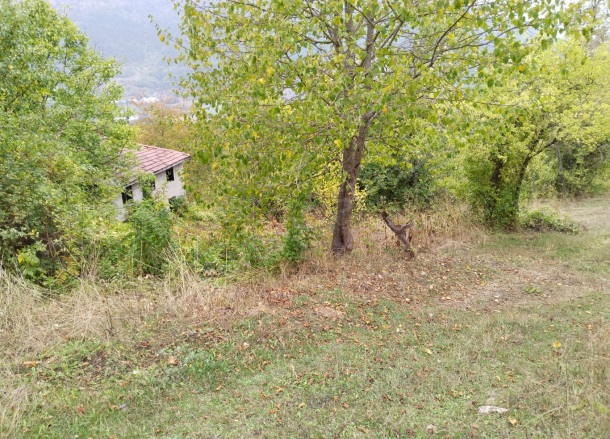 Belkaraağaç Köyü Bolu Satılık Tarla |  930M2 930.000Tl Resim-3