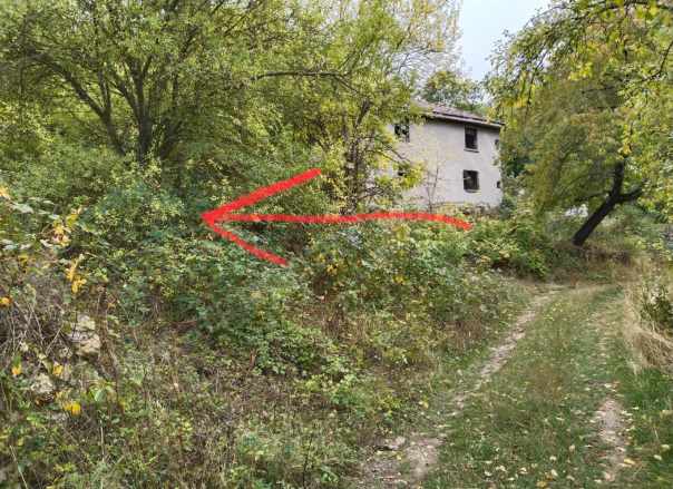 Bolu Merkez Satılık Arsa Belkaraağaç Köyü