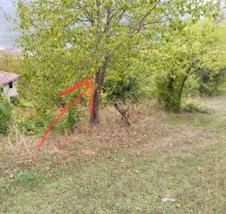 Belkaraağaç Köyü Bolu Satılık Arsa |  539M2 540.000Tl Resim-3