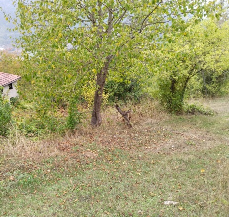 Belkaraağaç Köyü Bolu Satılık Arsa |  539M2 540.000Tl Resim-4