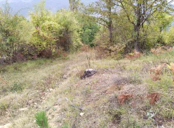 Bolu Merkez Satılık Tarla Arsa Belkaraağaç Köyü