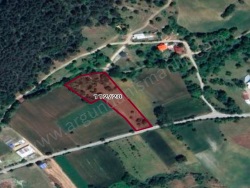 Merkez Piroğlu Yaylası Mah-Piroğlu Köyü. Satılık Tarla 5099 M2