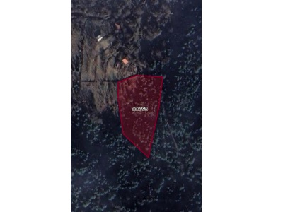 Bolu Merkez Satılık Tarla Arsa Belkaraağaç Köyü